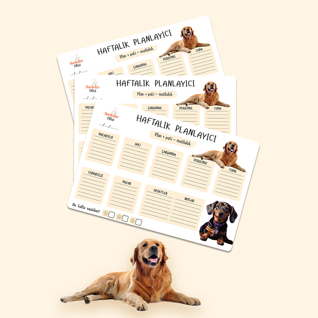 Köpek Tasarımlı 3'lü Planlayıcı Set Köpek Tasarımlı 3'lü Planlayıcı Set