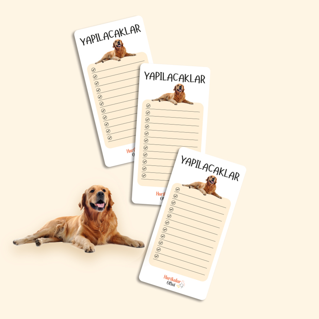 Köpek Tasarımlı 3'lü Planlayıcı Set